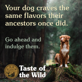 Taste of the Wild Wetlands Canine Formula with Fowl in Gravy Dog Wet Food 390g